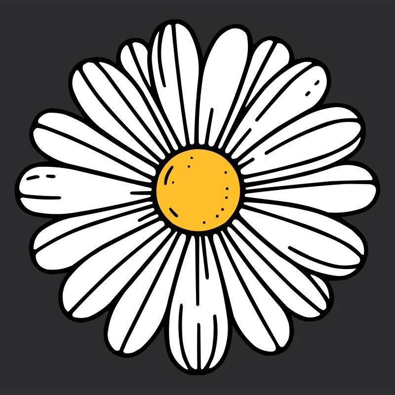 Gänseblümchen