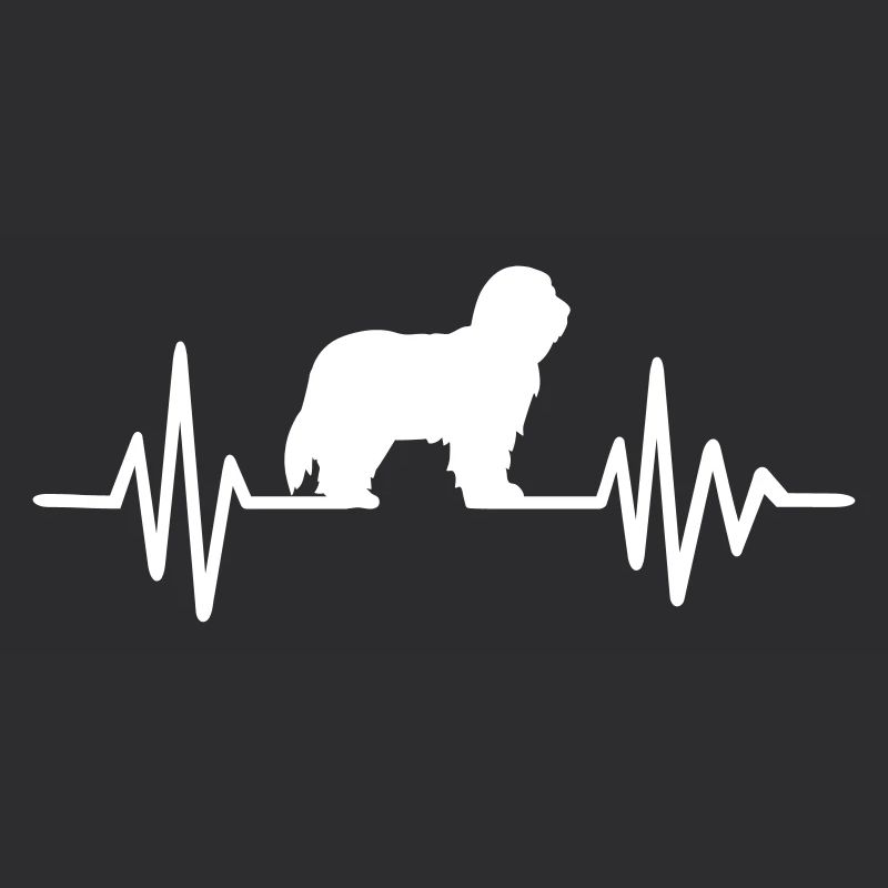 Bearded Collie