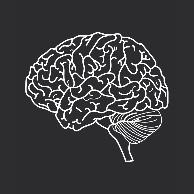 brain