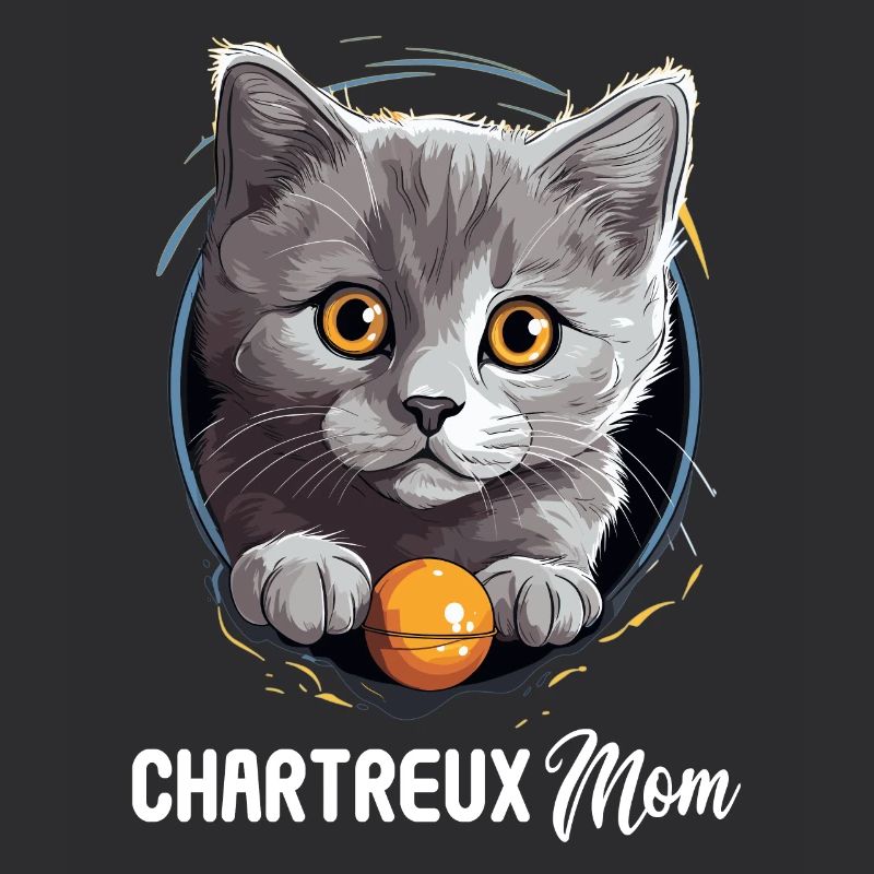 Chat Chartreux Chat Chartreux