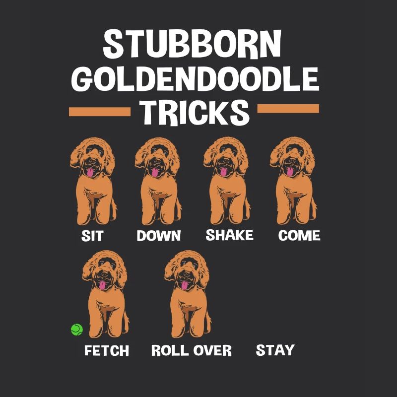 Goldendoodle