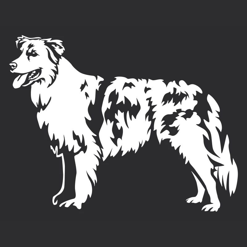 Australian Shepherd "Black Edition"