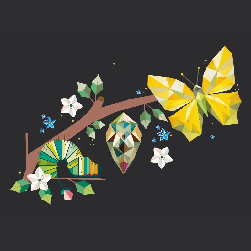 De la chenille au papillon - cycle de vie