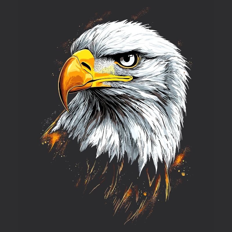Eagle Bald Eagle Golden Eagle White-tailed Eagle