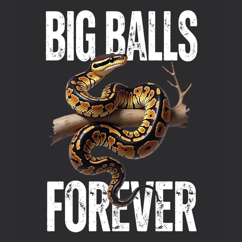 Python roi Serpents Amateurs de terrarium Python