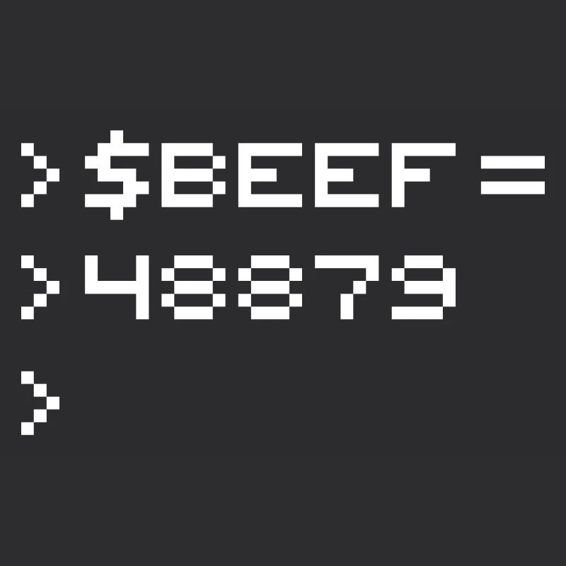 BEEF 8-bit Code Nerd Pixel Terminal Rétro