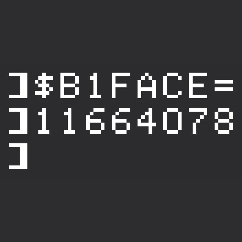 B1FACE Biface Code hexadécimal 8 bits Geek