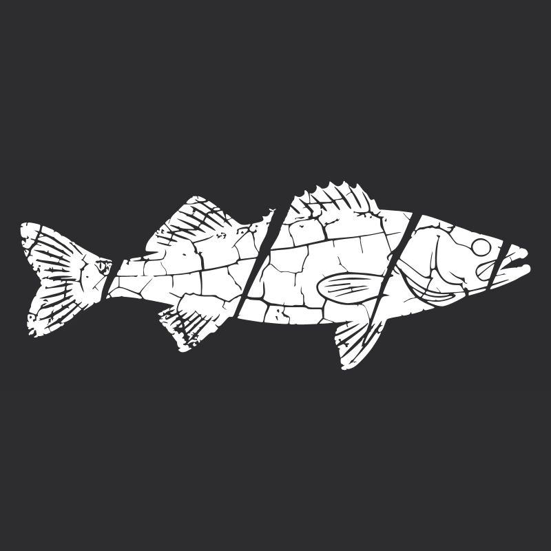 Big Zander Fish Catch Vector