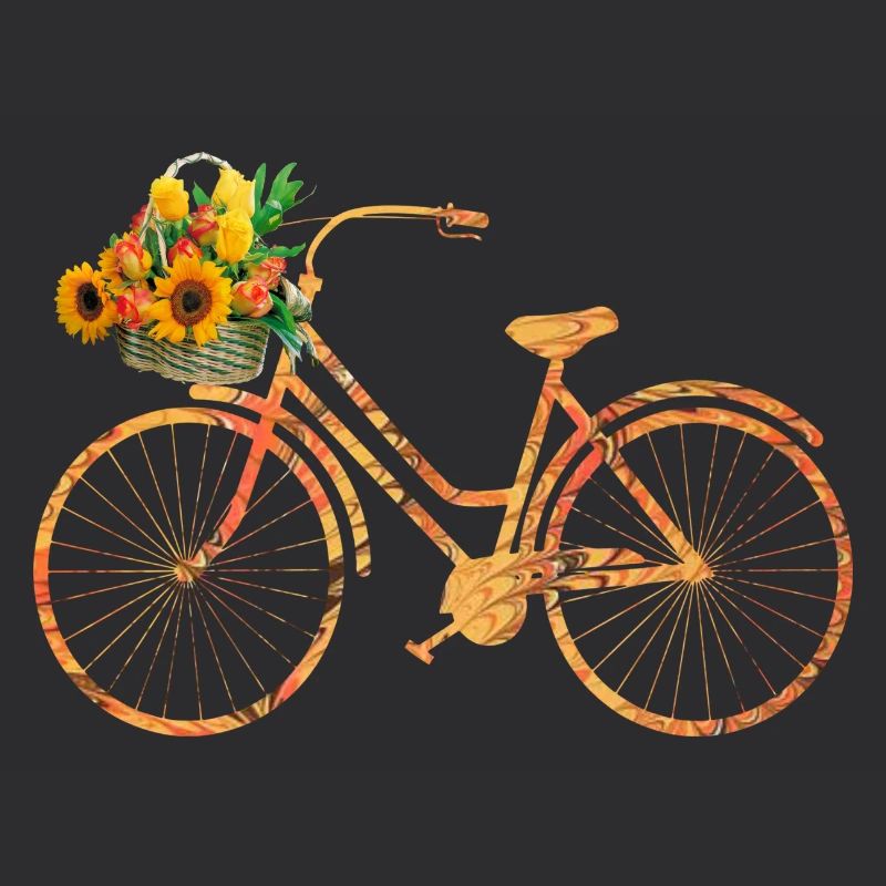 bicycle e 118