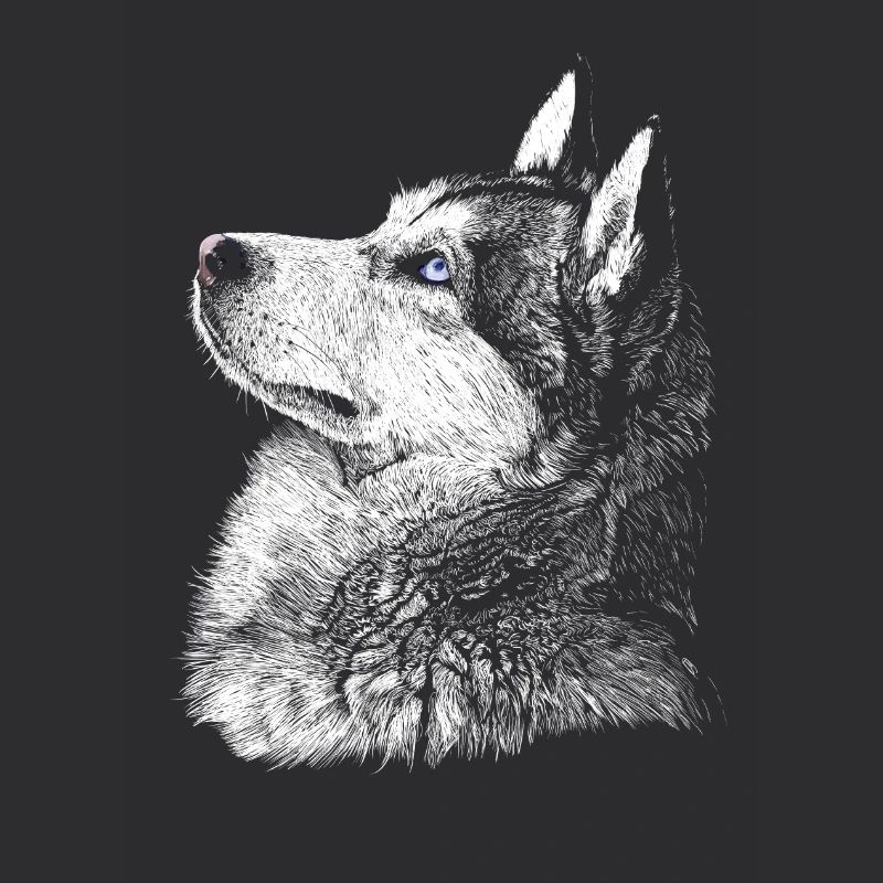 Husky