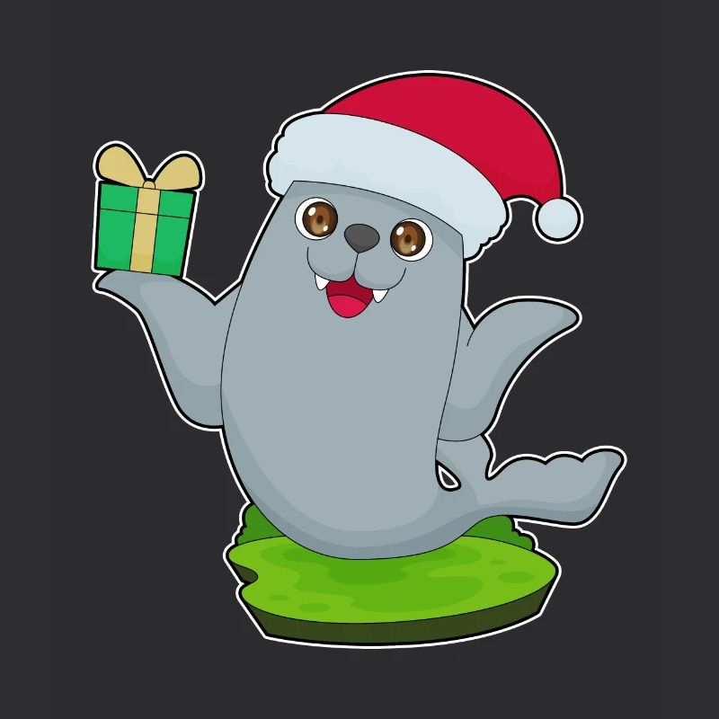 Paquet de Noël scellé