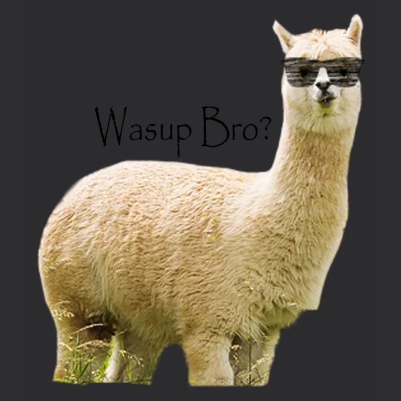 Alpaca Bro