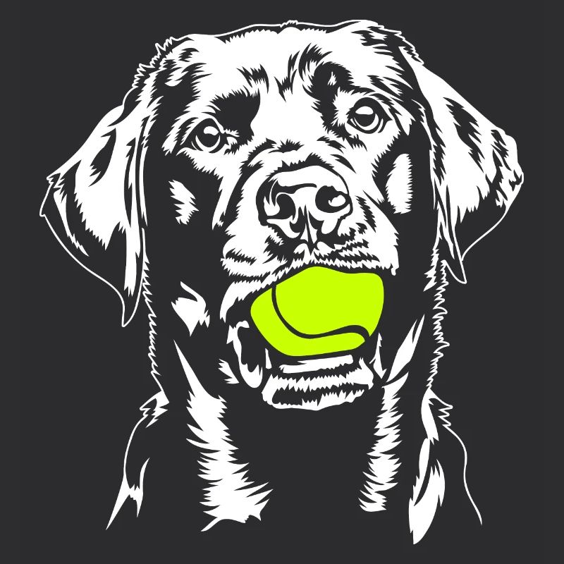 Labrador Balljunkie Labbi Chiens Wilsigns