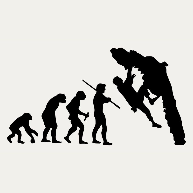 Boulder Evolution