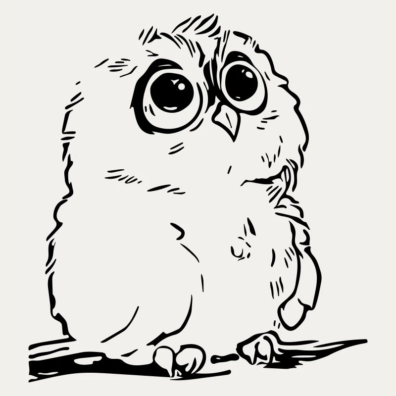 Cute owl