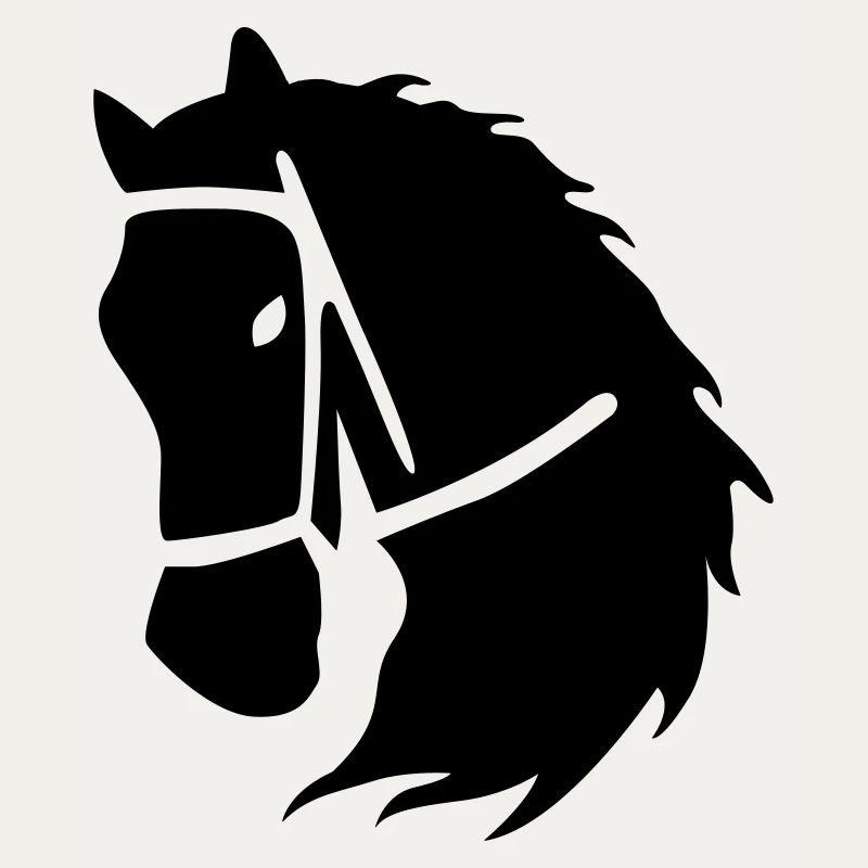 équitation