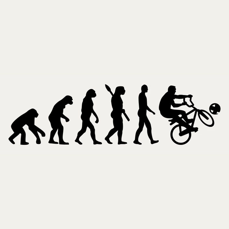 Evolution Cycle ball