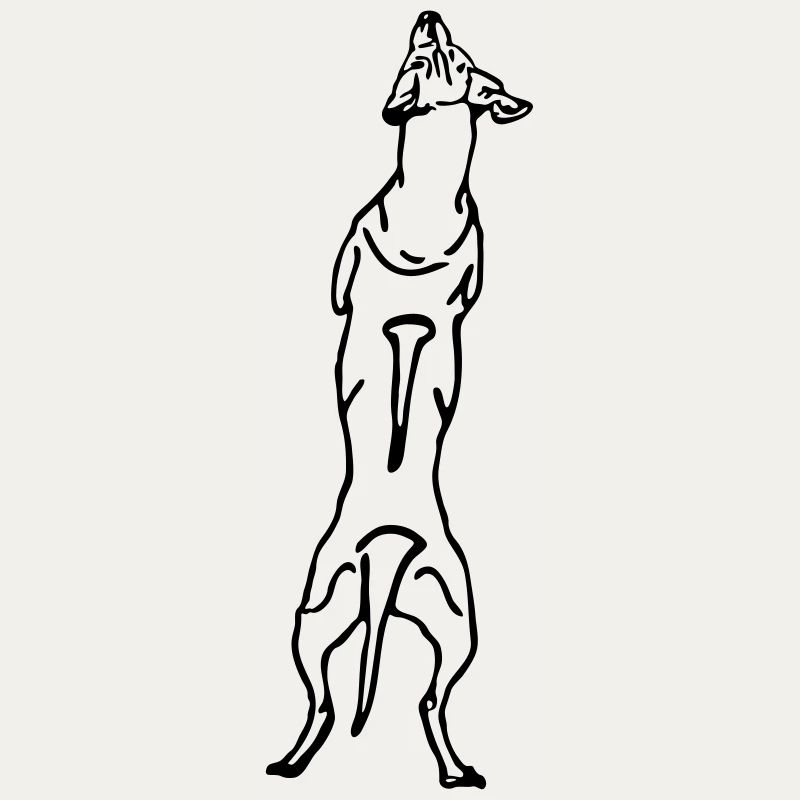 Ridgeback back