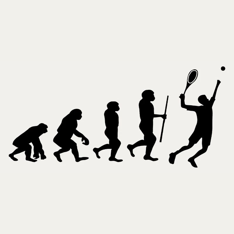 Tennis Evolution Badminton