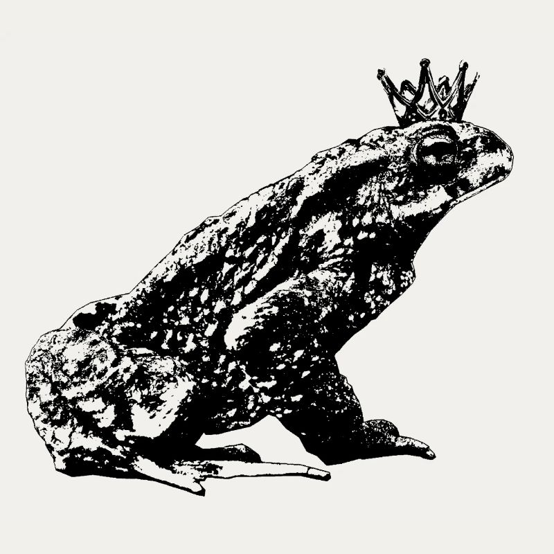 Crowned Toad