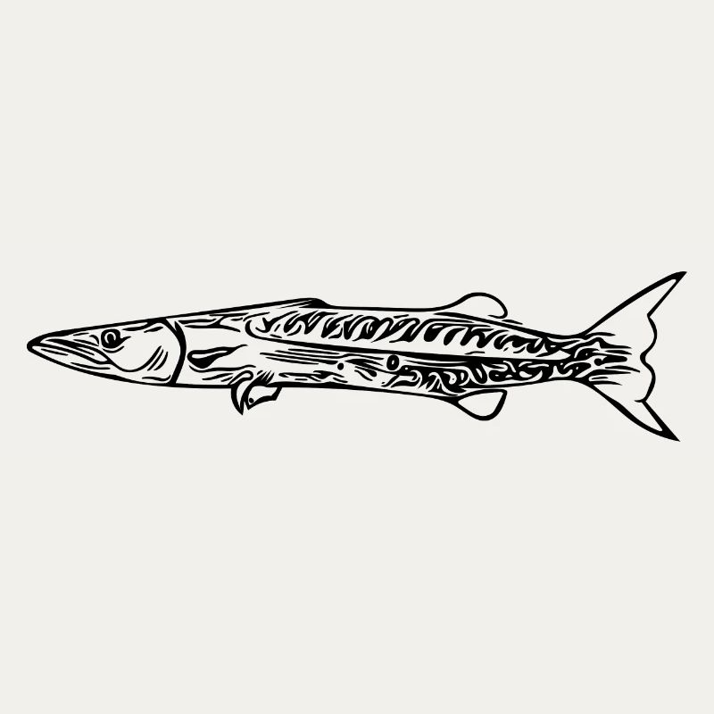 Barracuda Predator Elegant Fast Pike