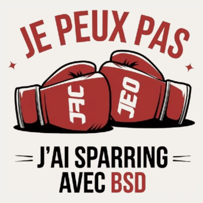 je peux pas j ai sparring avec benoit saint dénis