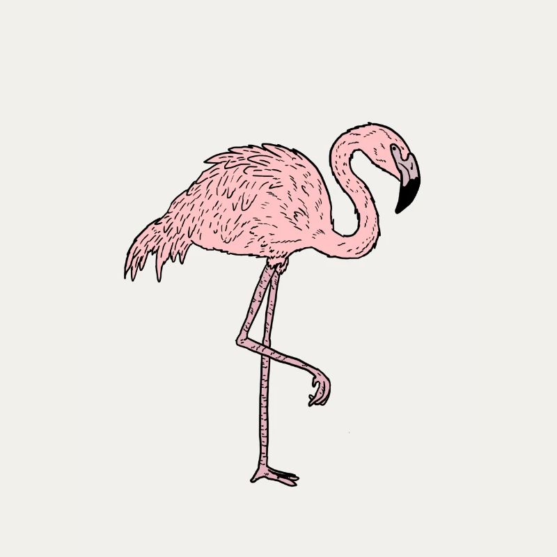 Flamingo - Comicstyle