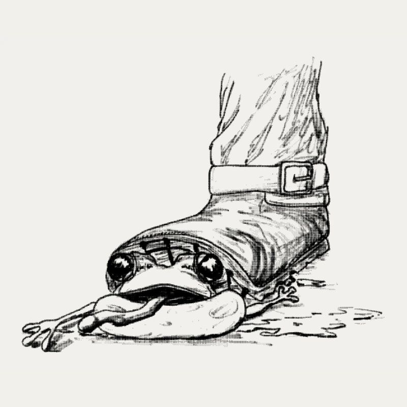 Ouch! Frog is trampled by boots