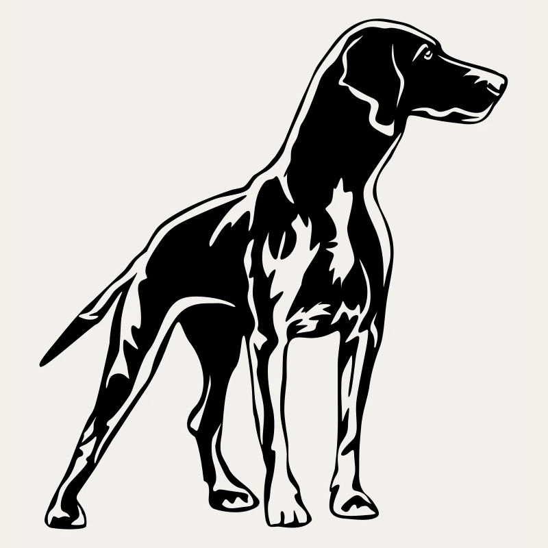 Magyar Vizsla