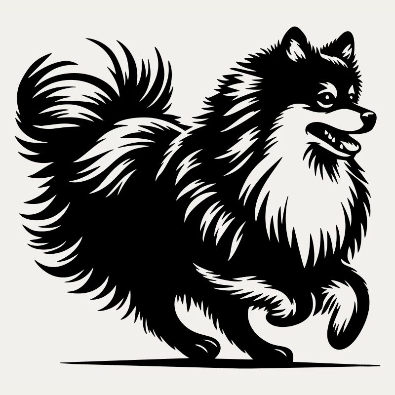Spitz