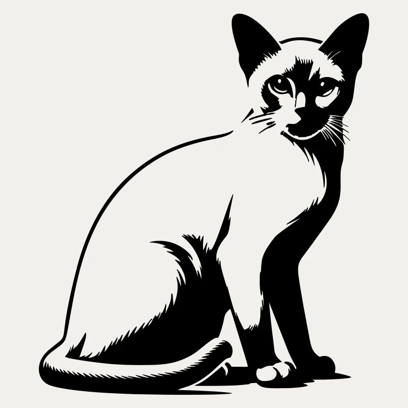 Burmese cat