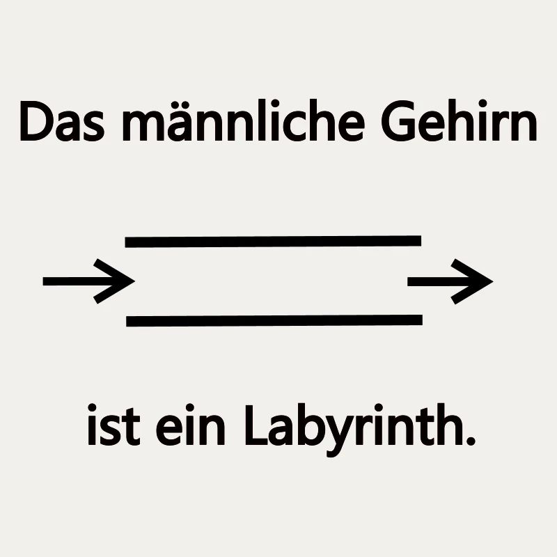 Labyrinth male