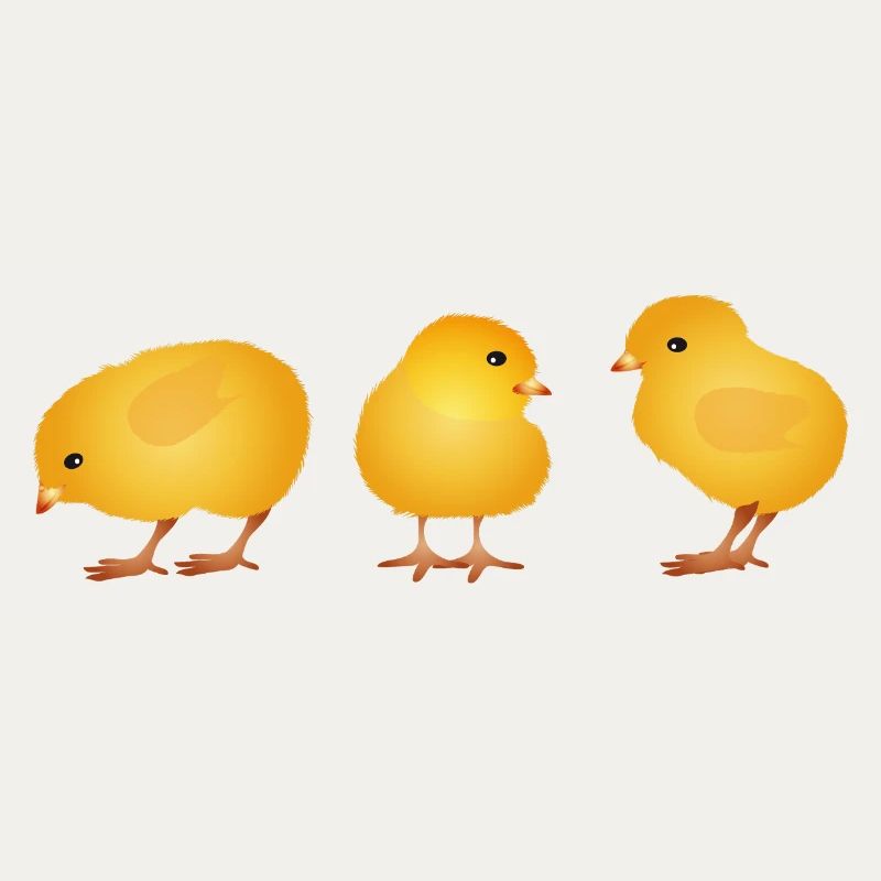 Chick – Cute Spring and Easter Motif