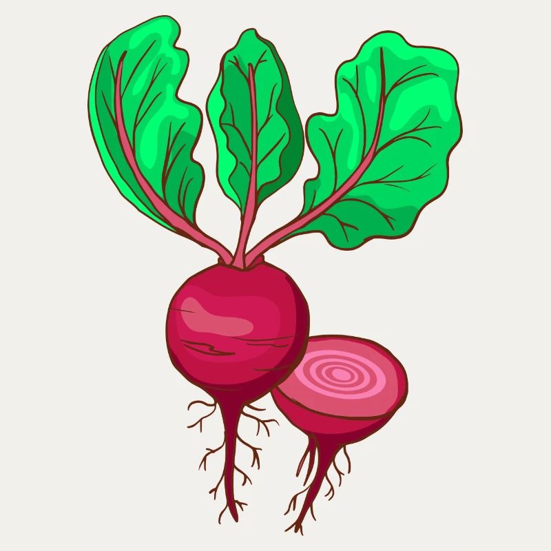 Beetroot Beet Bete