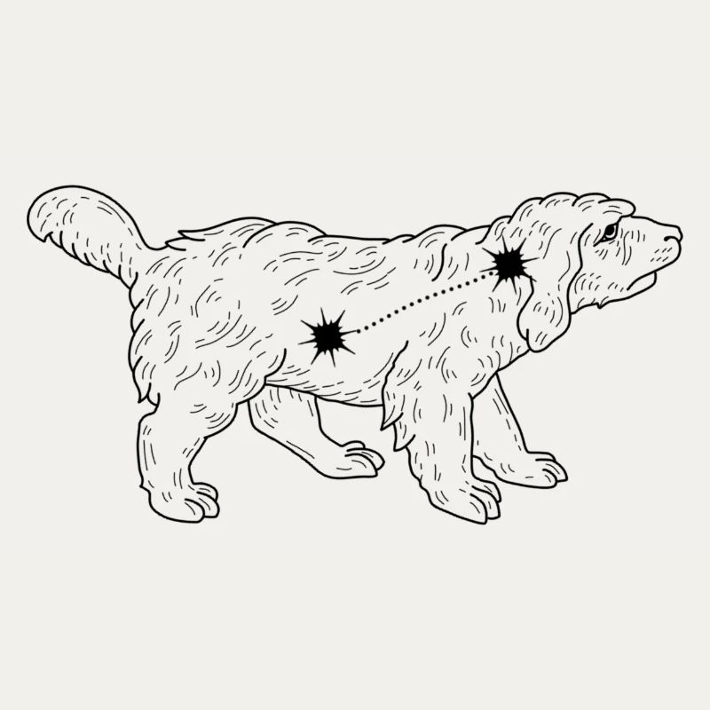 Constellation