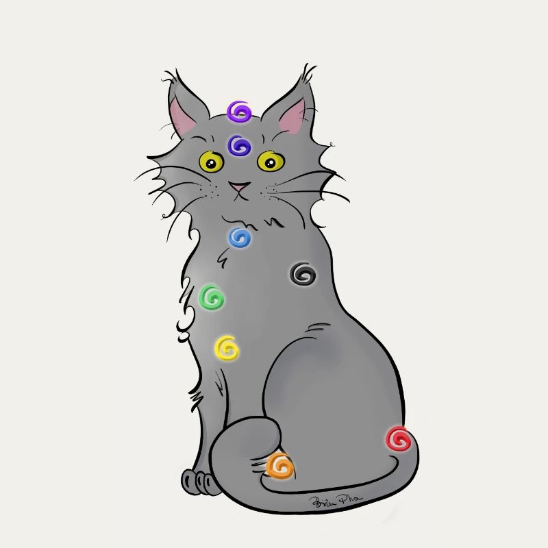 Chat-kra