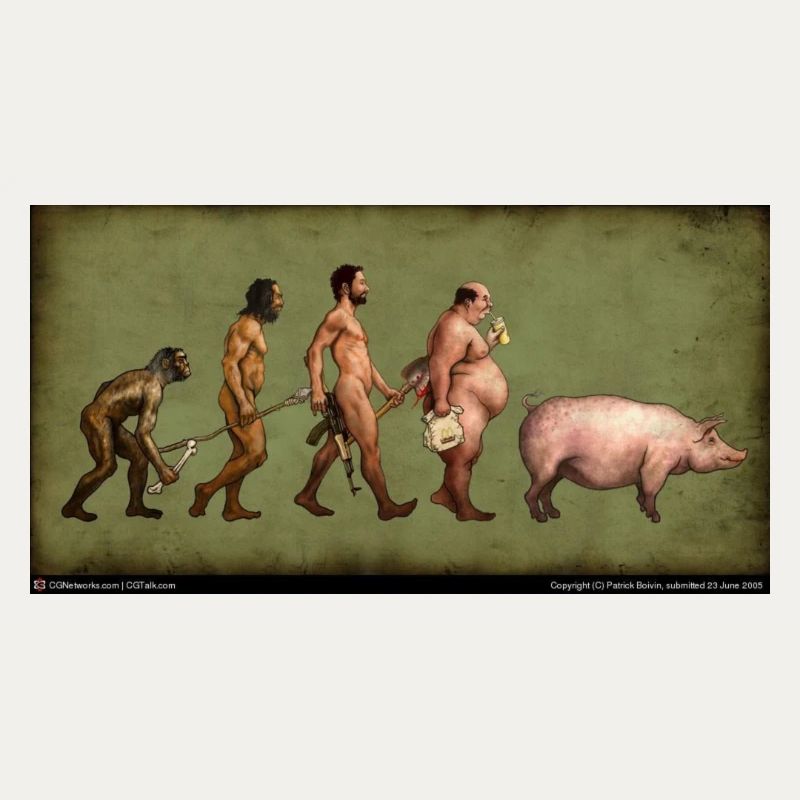 Evolution
