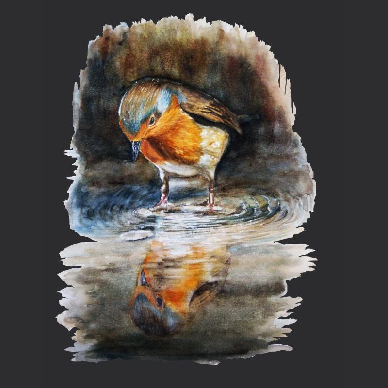 robin