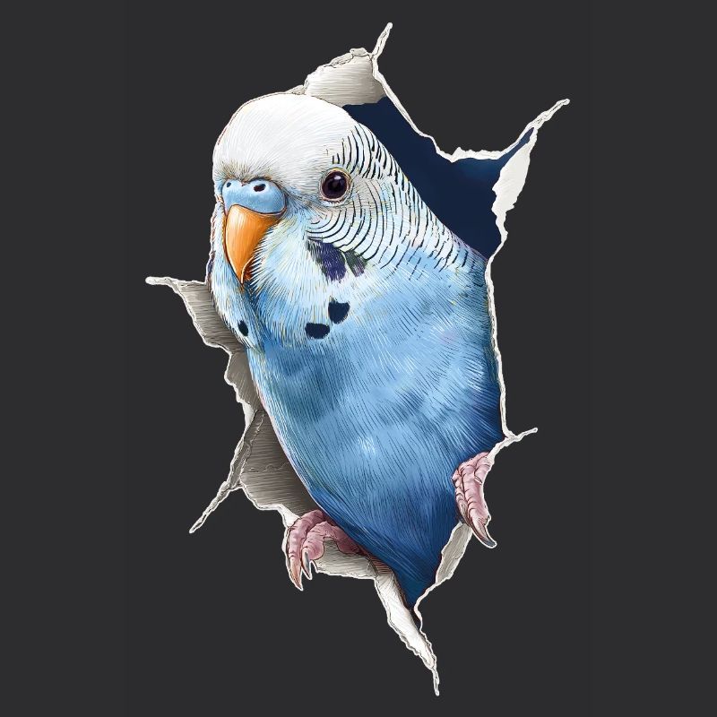 Budgerigar