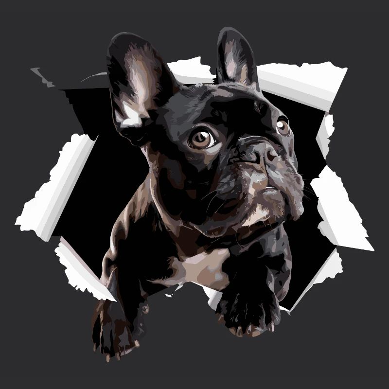 Percée du bouledogue français Drôle