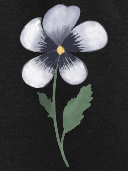 Pansy Violet