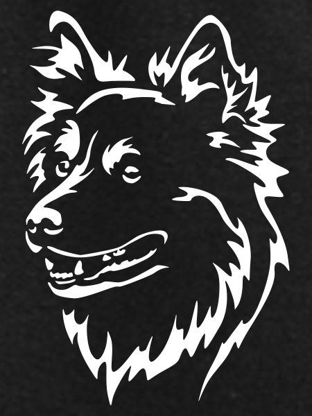 Islandspitz head "Black Edition"