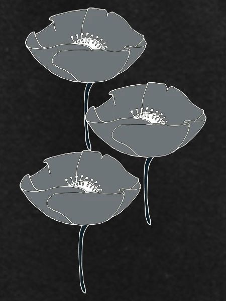 poppies grey