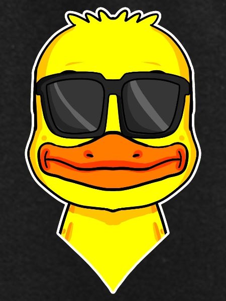 cool duck with sunglasses
