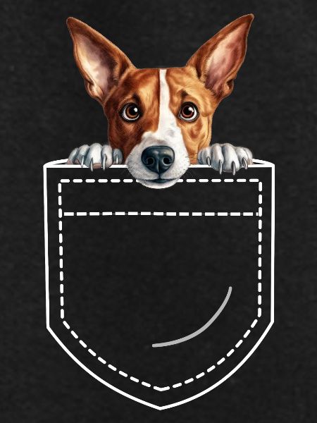 Dog Basenji