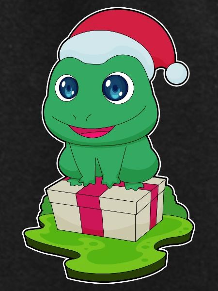 Frog Christmas Package