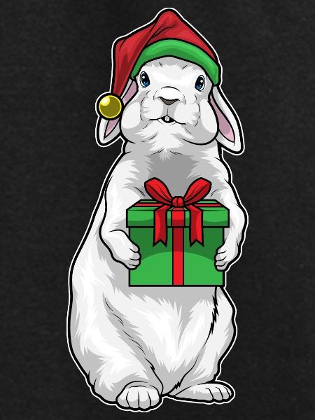 Bunny Christmas Package