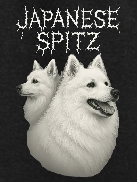 Japanese Spitz