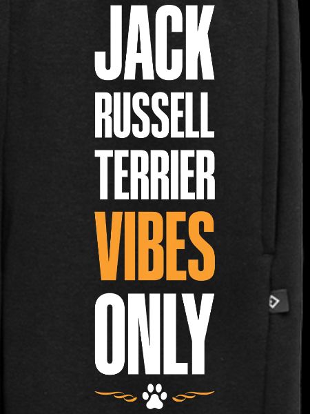 Jack Russell Terrier Vibes