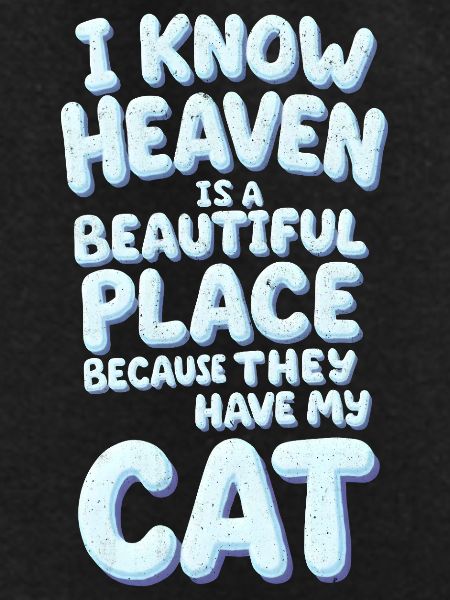 Cat Funeral